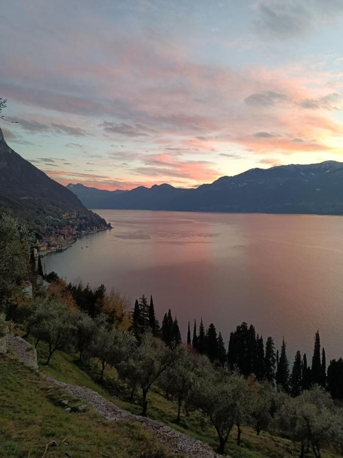 Casa Almut & More - Lake Como Center - Varenna 佩尔莱多 外观 照片